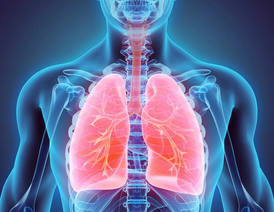 Le Rôle de l'Ergothérapie dans la Réadaptation de la Tuberculose Pulmonaire