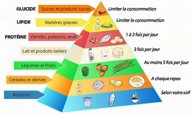 Le Phénomène du Complément Alimentaire au Pissenlit : Transformez Votre Santé avec le Cadeau de la Nature